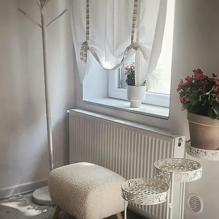 Anna's Cluj-Napoca