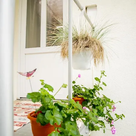 Anna's Appartement